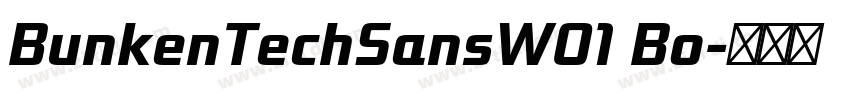 BunkenTechSansW01 Bo字体转换